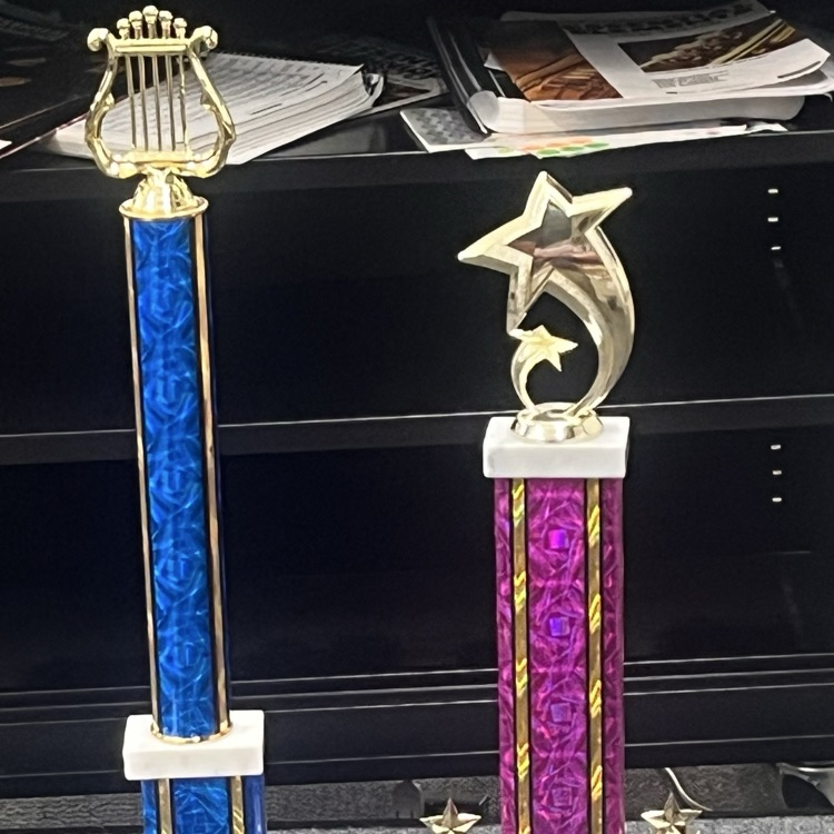 superior rating trophy and rising star award