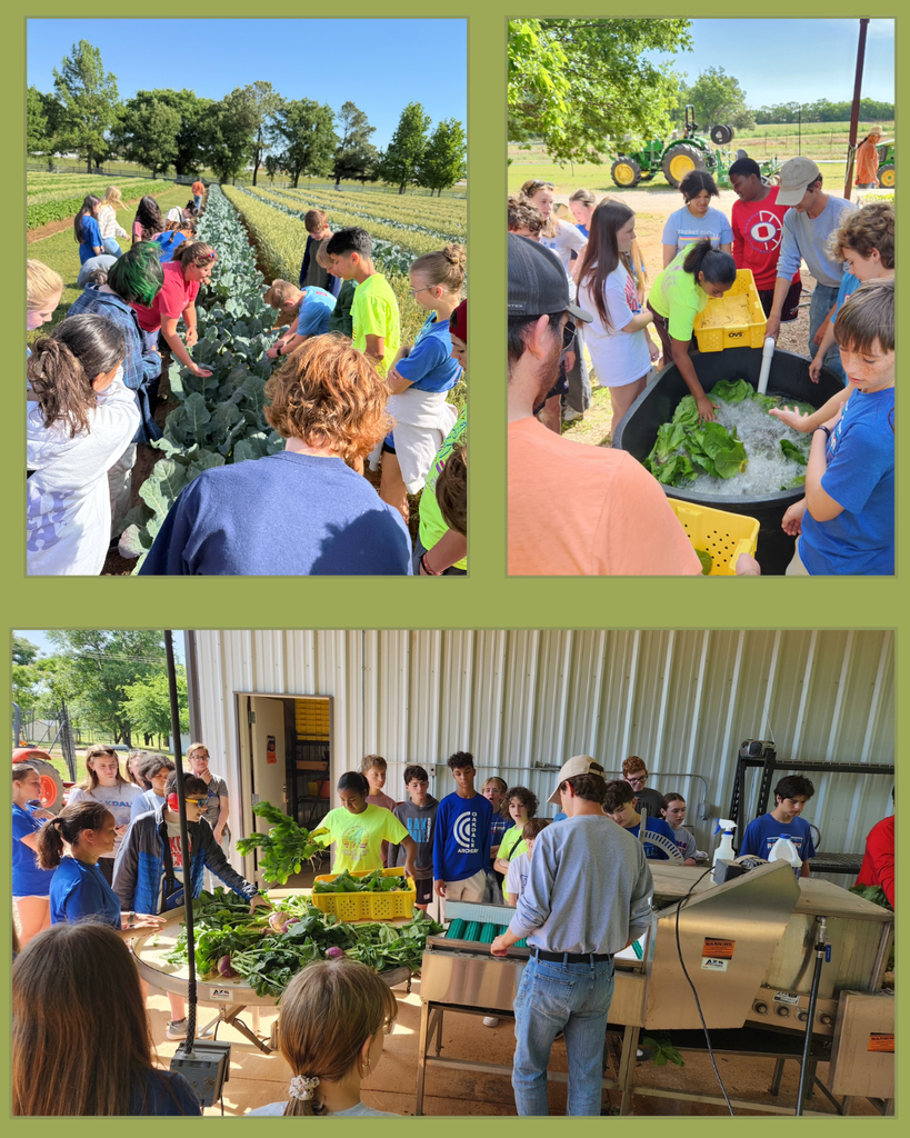 7th field trip