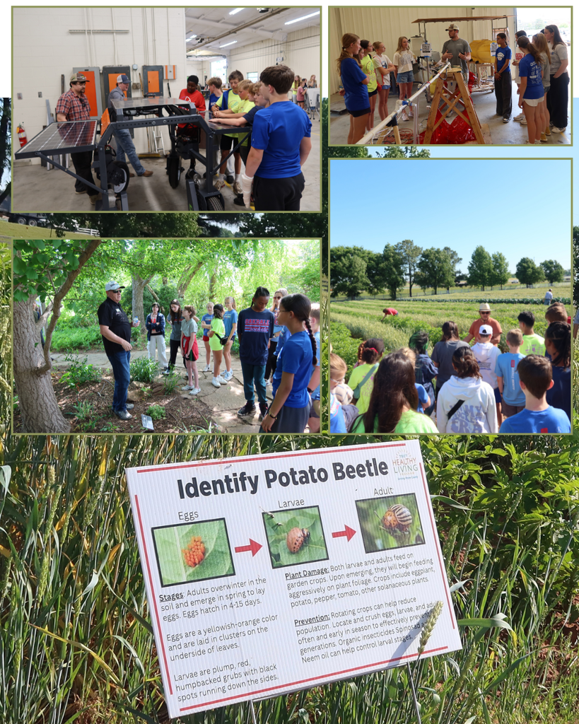 7th field trip