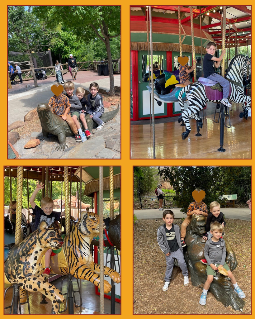 prek zoo osf