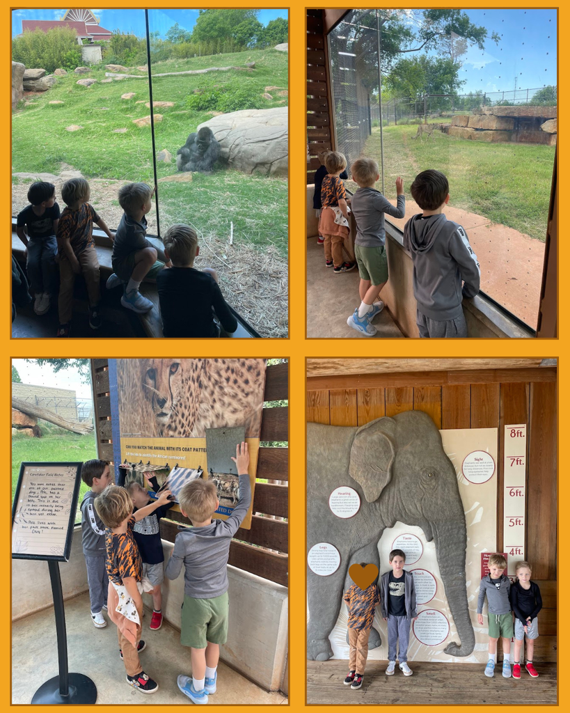 prek zoo osf