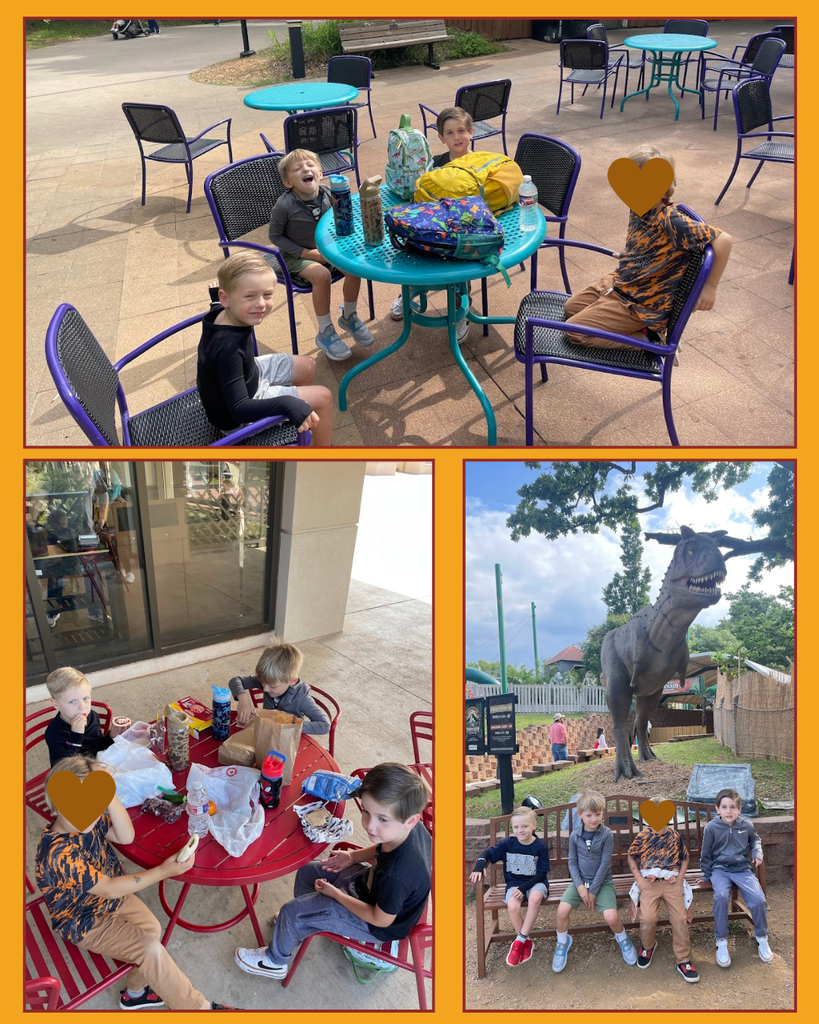 prek zoo osf
