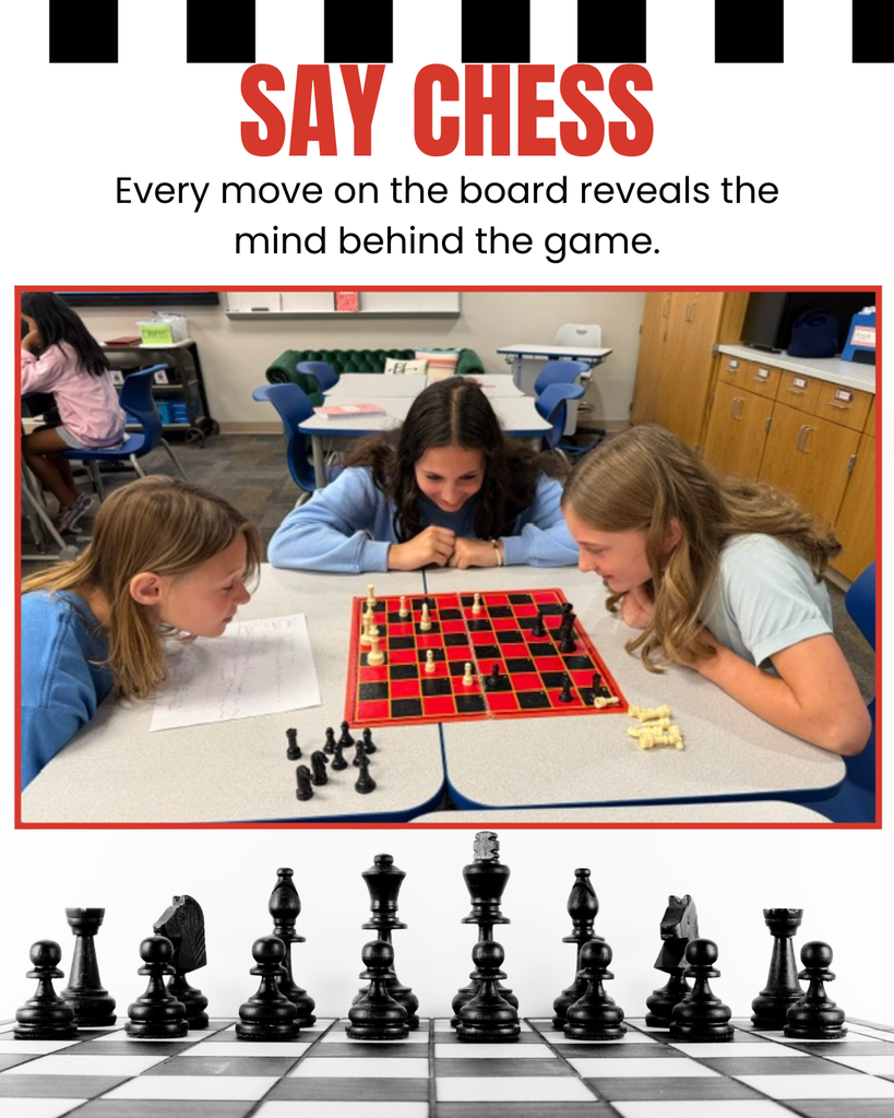 chess 26
