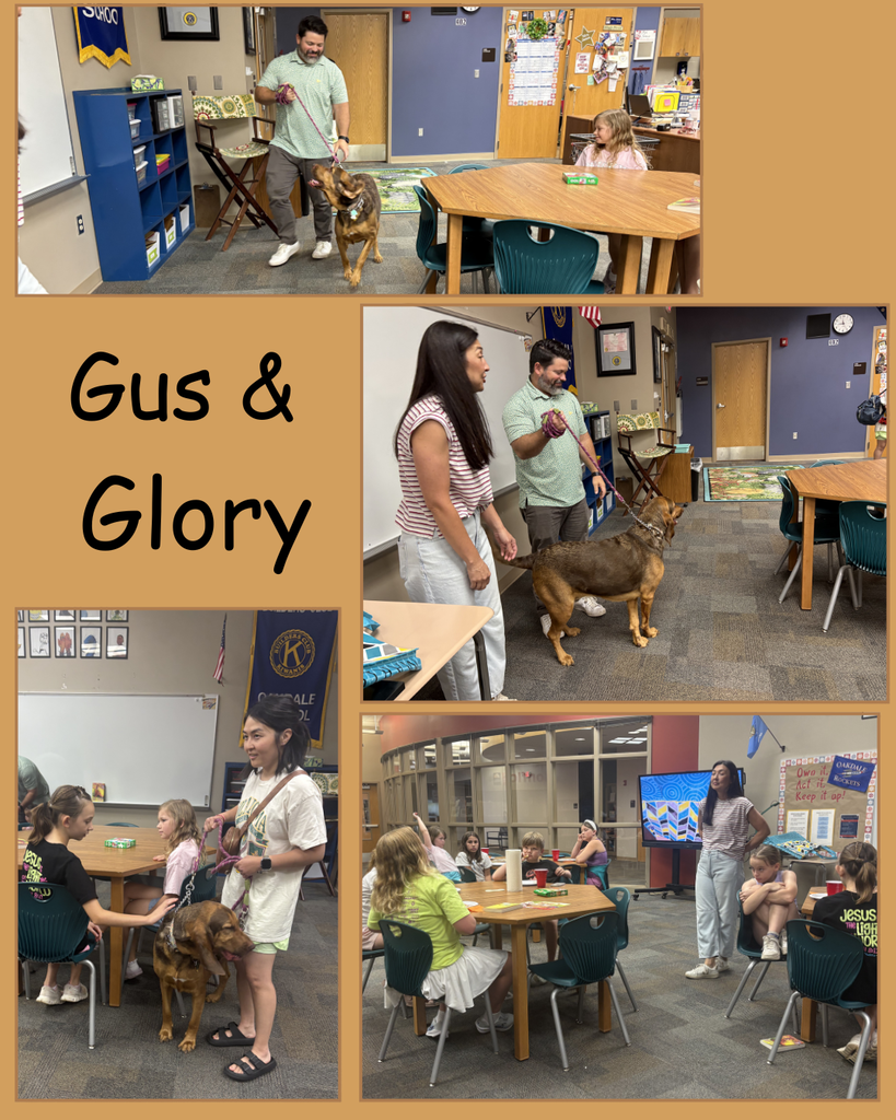 5th Summer book club