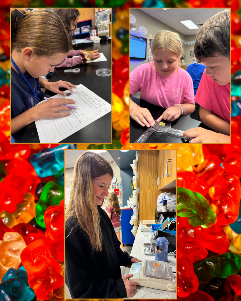 gummy bear lab 26