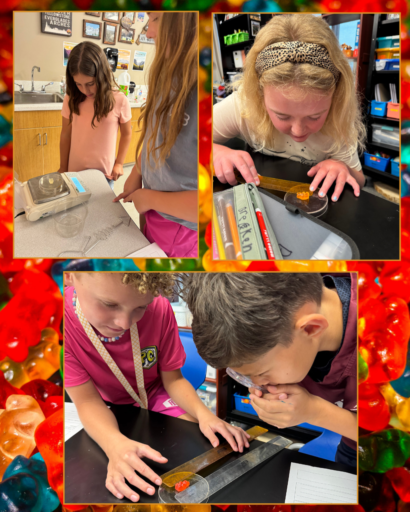 gummy bear lab 26
