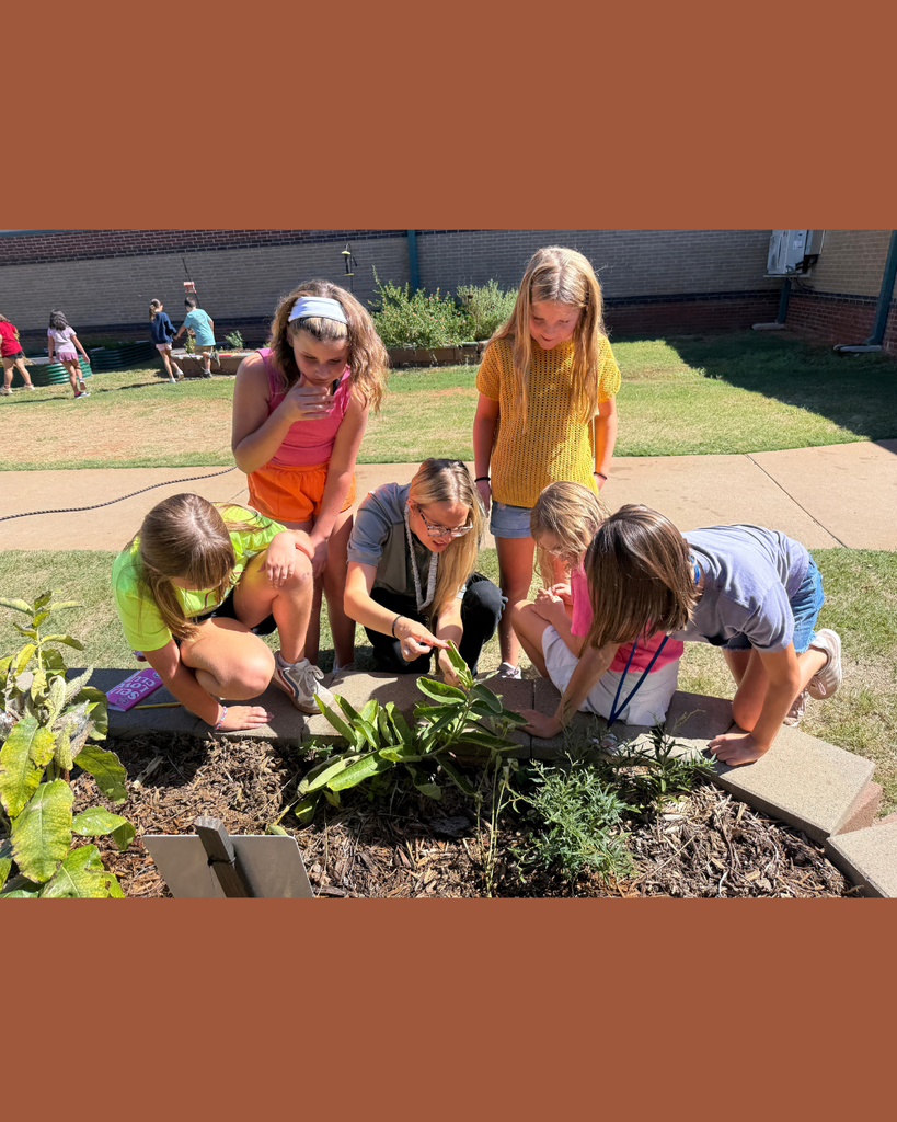 outdoor classroom