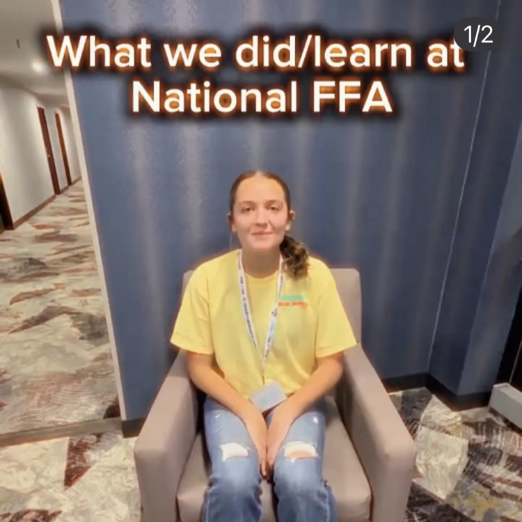 see the video at https://www.instagram.com/p/DQiidR8kaGr/?igsh=MW5iaXRpam1vMjYwYw==