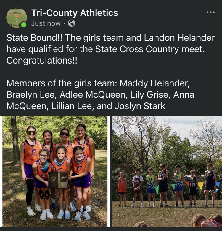 Jr High Cross Country qualified for State Meet
