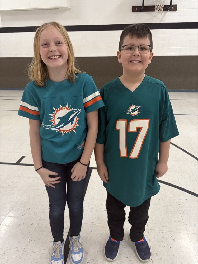 Dolphin Fans 