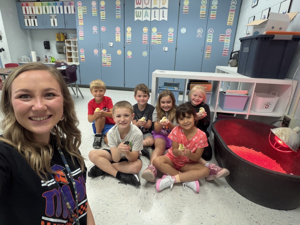 Welcome to our classroom chicks! 