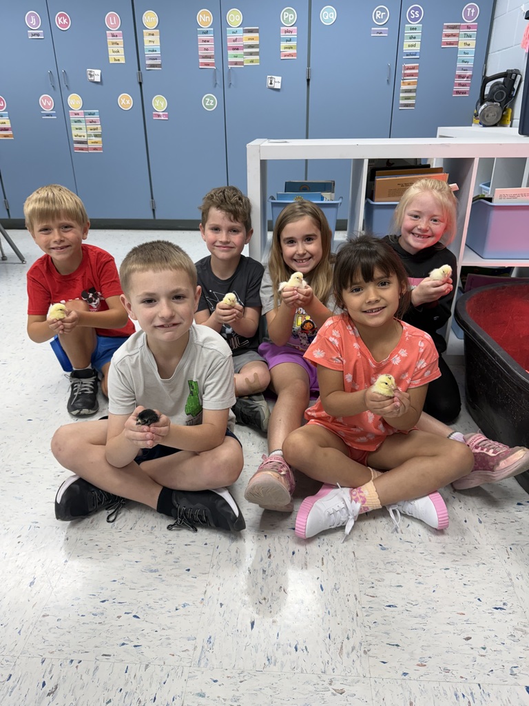 6 cute chicks for 6 cute 1st graders!