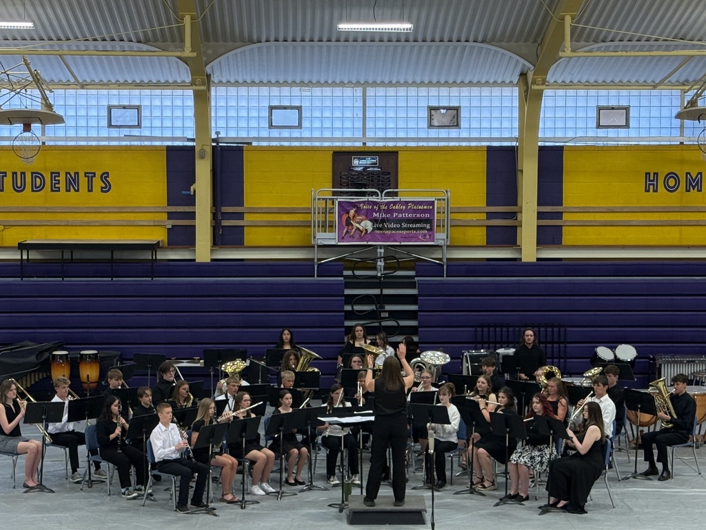 Hs Band-state music festival 26