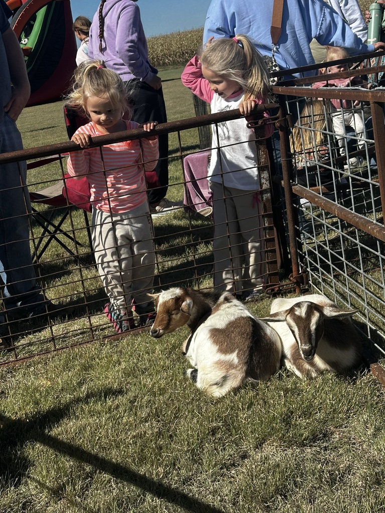 A picture of goats.