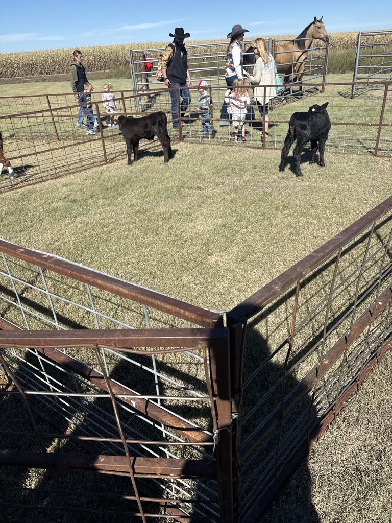 A picture of cows.