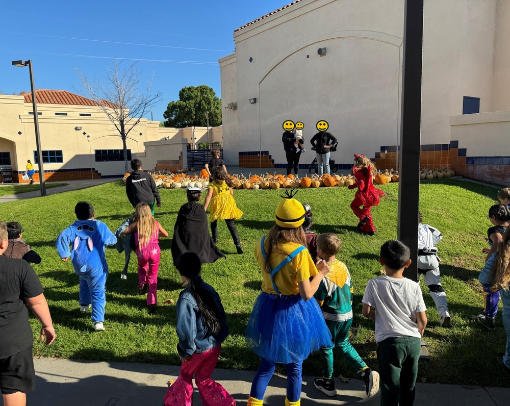 Laurel Pumpkin patch