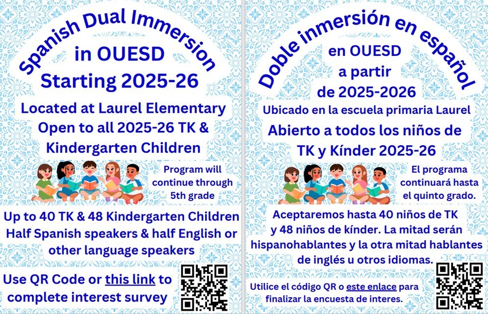 Dual Immersion