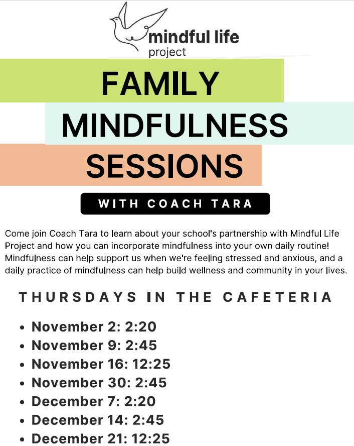 Mindful Life Sessions