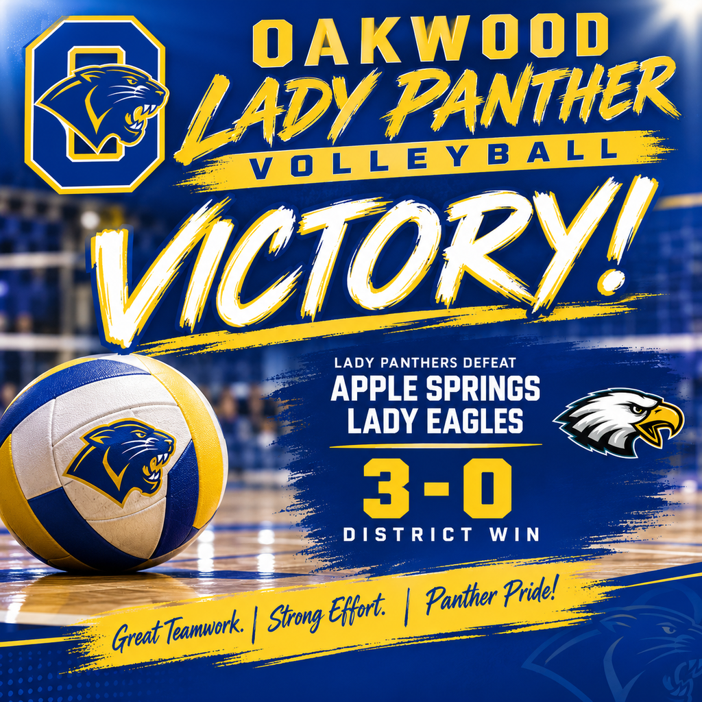 Volleyball Victory