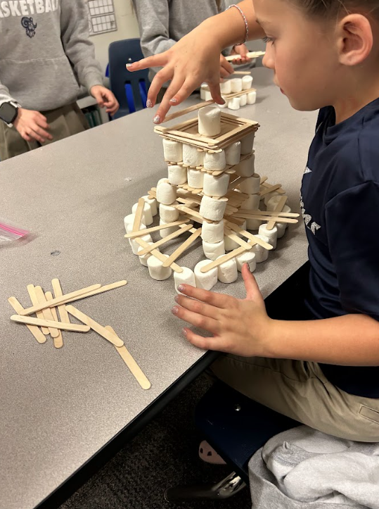 Weissmer Class Project