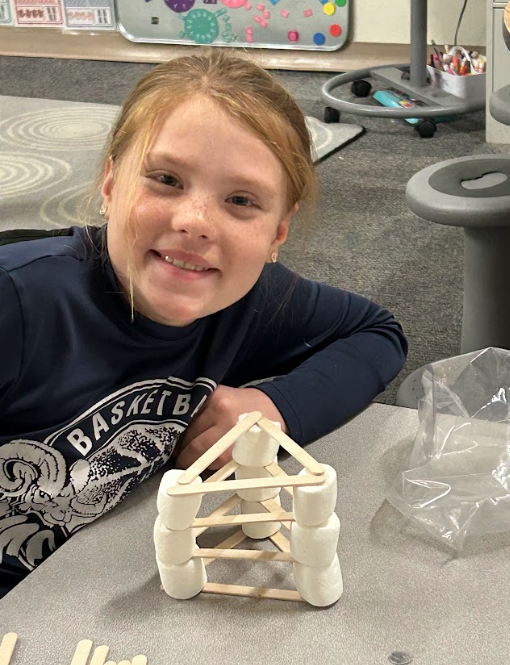 Weissmer Class Project