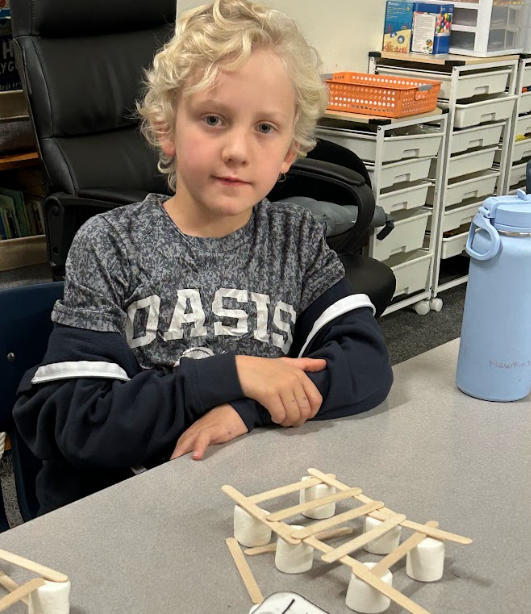 Weissmer Class Project