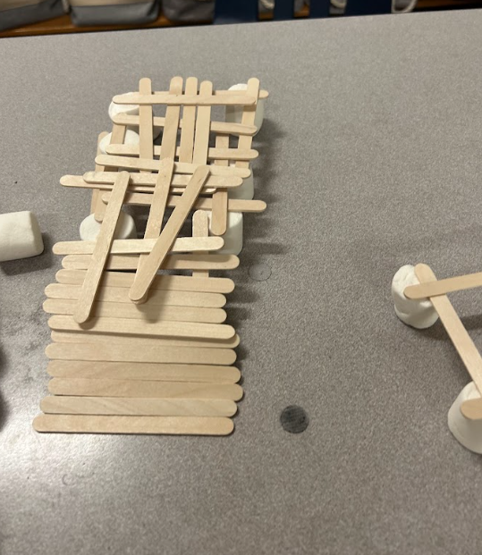 Weissmer Class Project