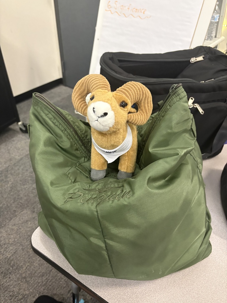 plushie sitting on bag
