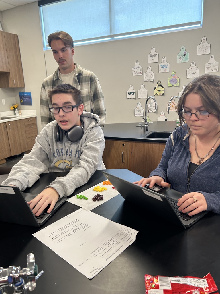 Kids doing A scince lab with candy