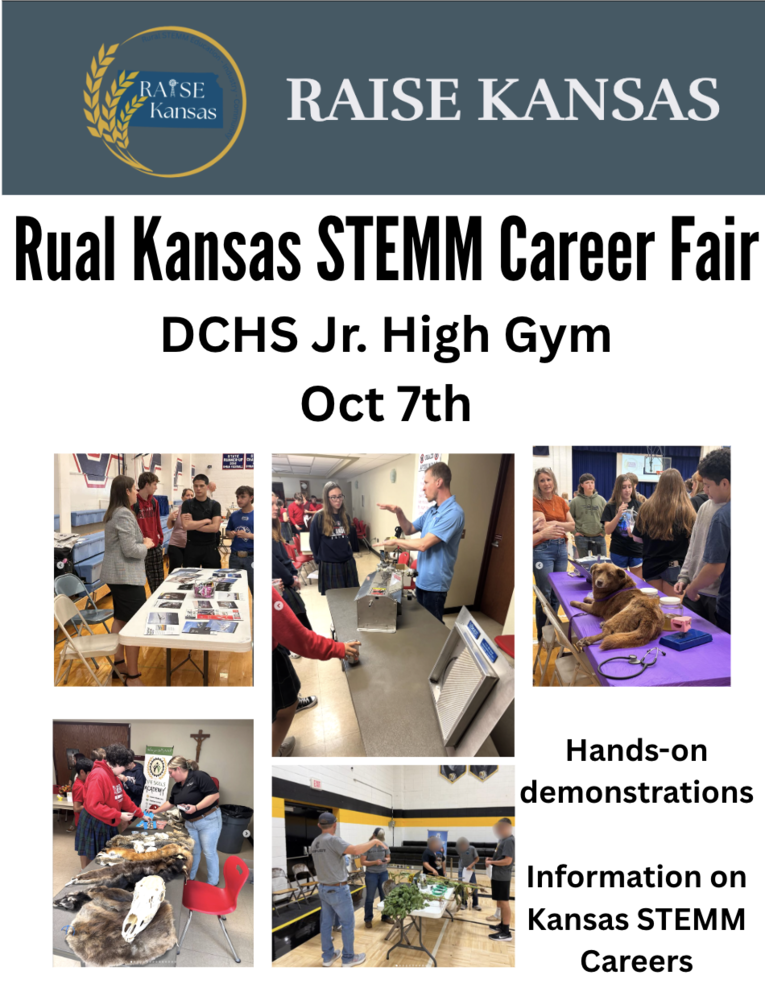STEM fair