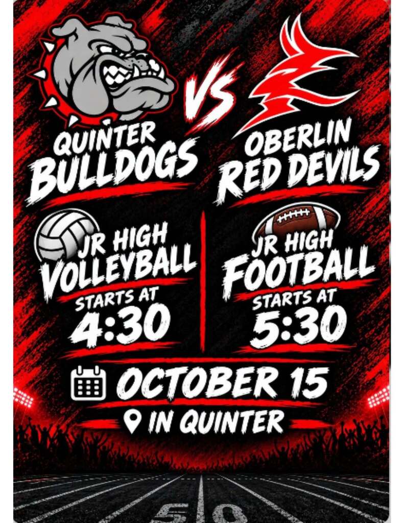 vb/fb