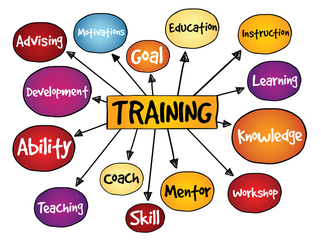 Professional Development