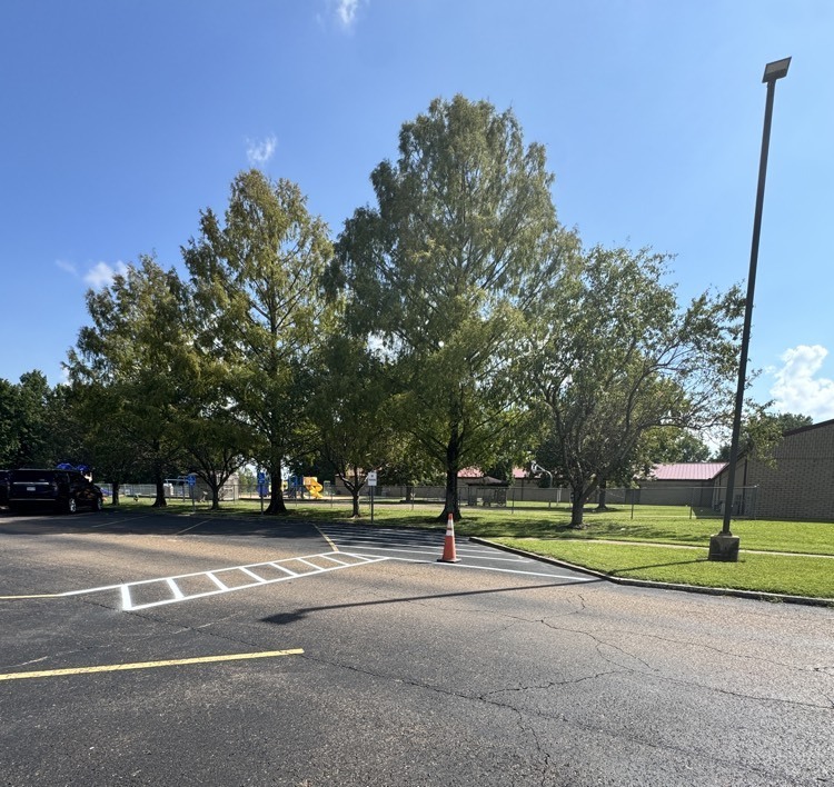 new crosswalk
