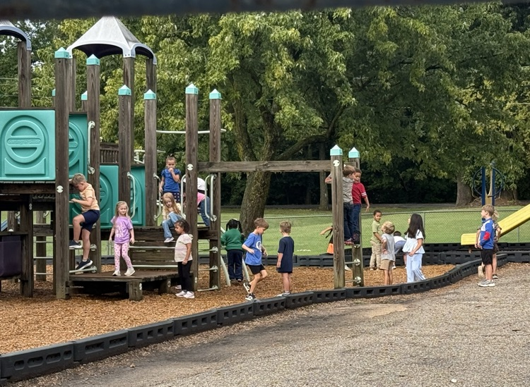 students playing on playground