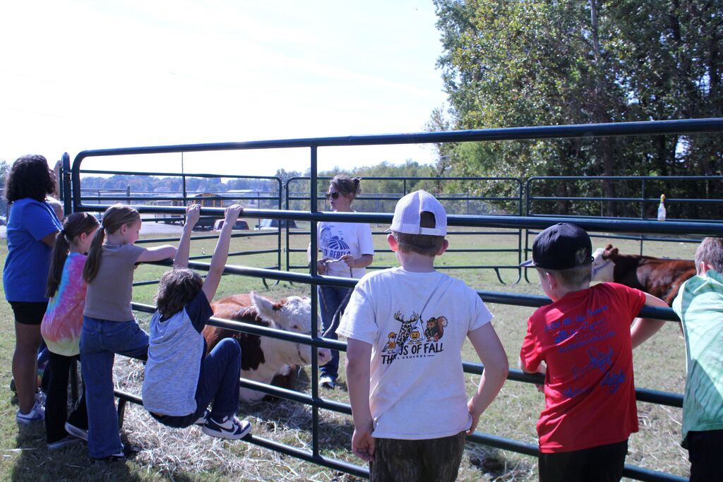 AN OCCHS FFA member presents to a group of students about cows.