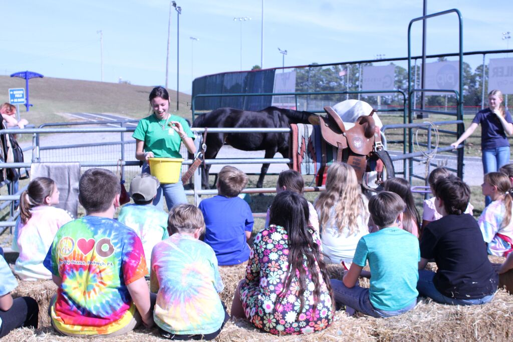 An OCCHS FFA member presents to a group of students about horses.