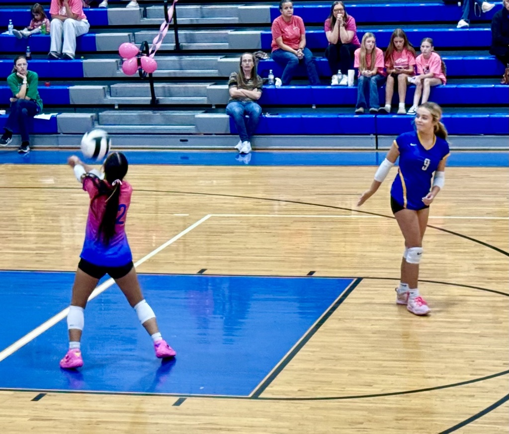 OHS Volleyball