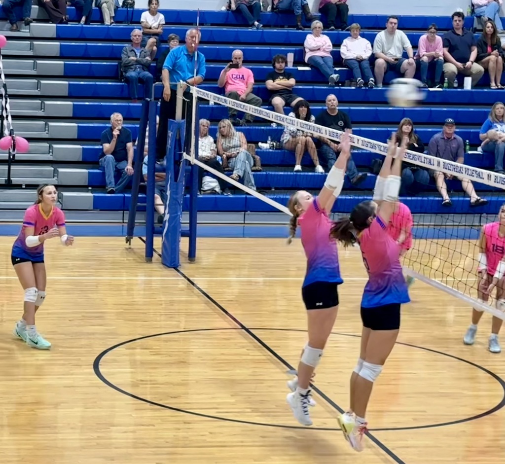 OHS Volleyball