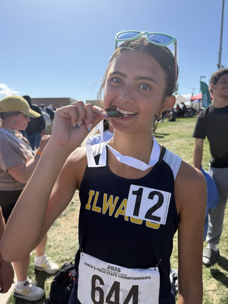 Elsa with hardware