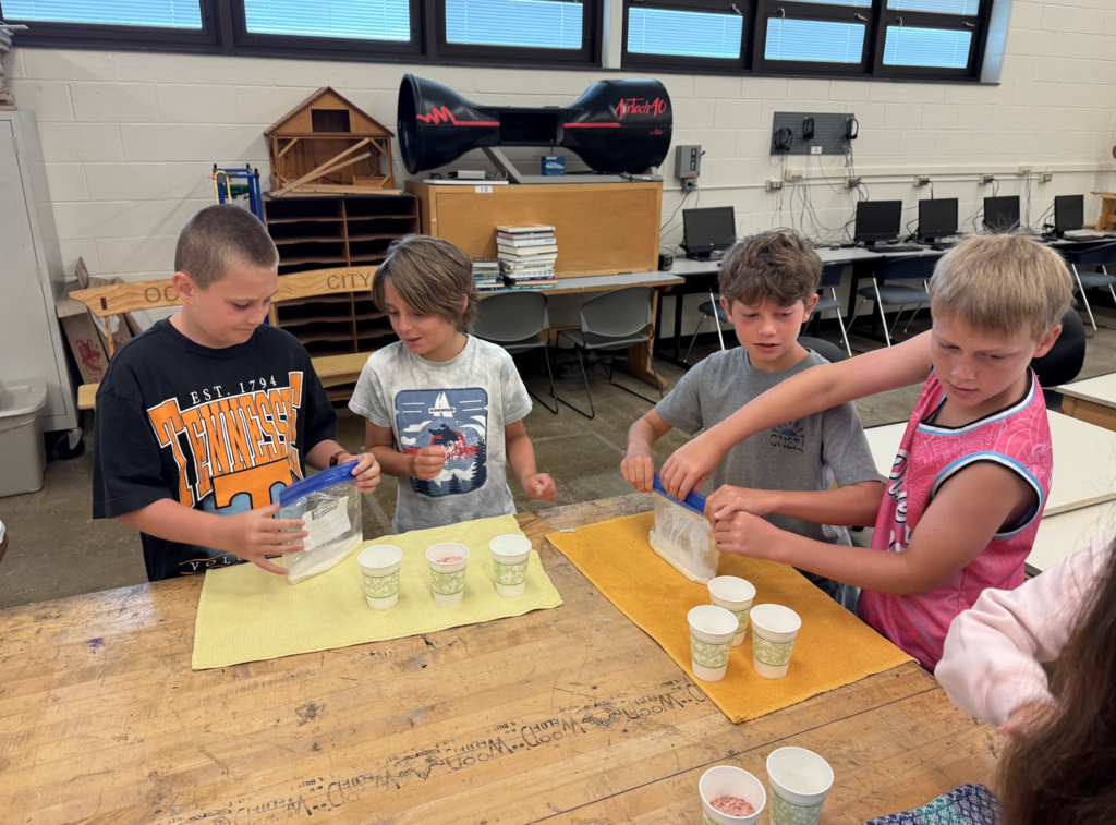 STEM 4