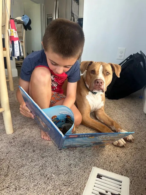Reading