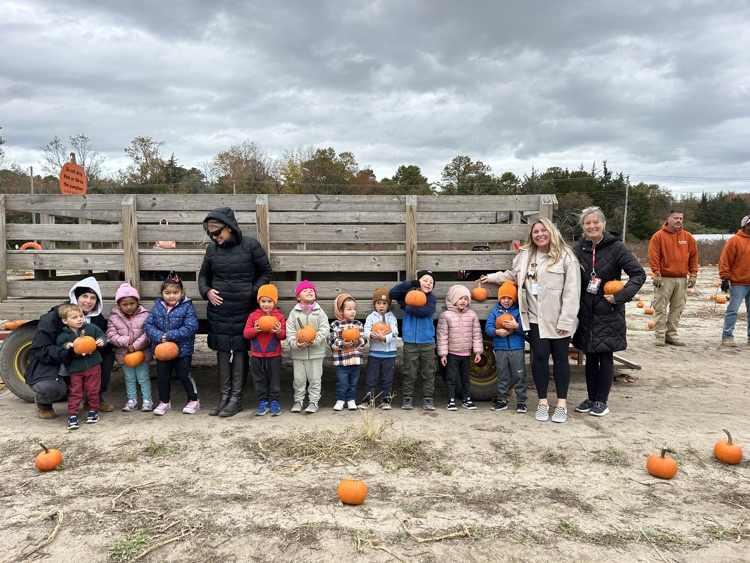 pumpkin patch