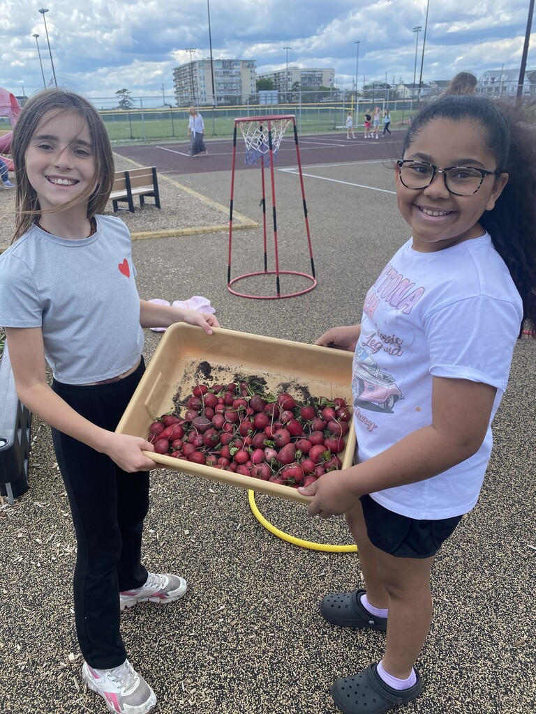 Helping Hands Garden
