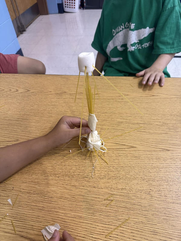 Second Grade Class Working on a Teamwork Build STEM Activity!