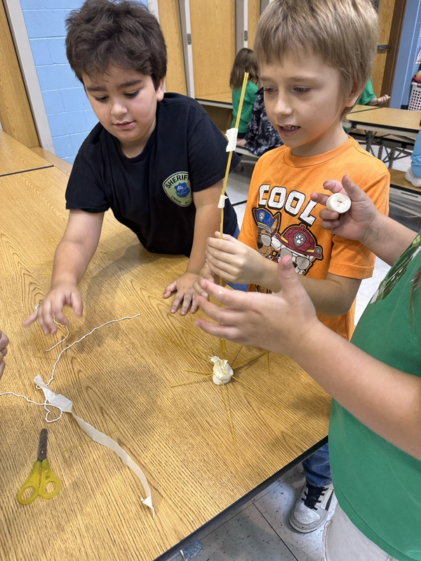 Second Grade Class Working on a Teamwork Build STEM Activity!