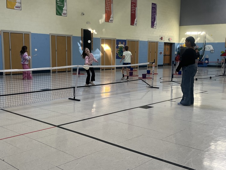 Pickleball