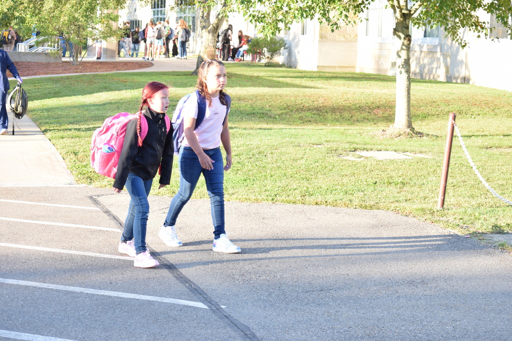 Welcome back Grizzlies
