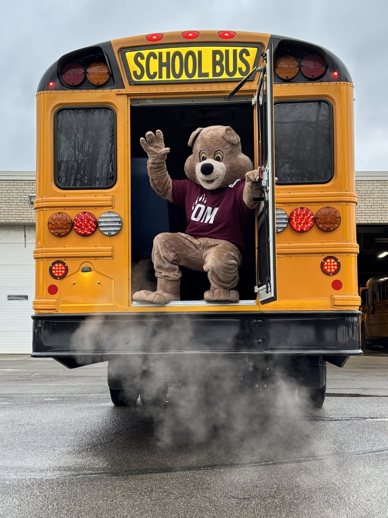 Grizzly bear waving out the back of a school bus