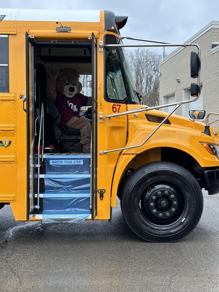 Grizzly bear driving school bus #67 waving at the camera
