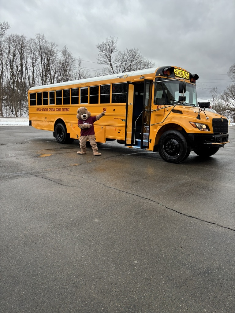 Grizzly bear pointing at bus #67